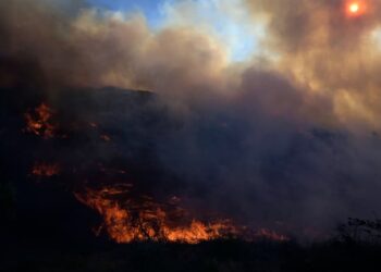 Grèce: les incendies près d’Athènes « ont été maîtrisés », l’été s’annonce difficile