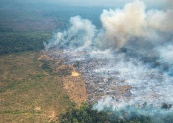 Incendies au Brésil: l’Amazonie a connu son pire premier semestre en 20 ans