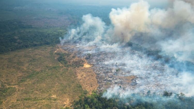 Incendies au Brésil: l’Amazonie a connu son pire premier semestre en 20 ans Incendies au Brésil: l’Amazonie a connu son pire premier semestre en 20 ans