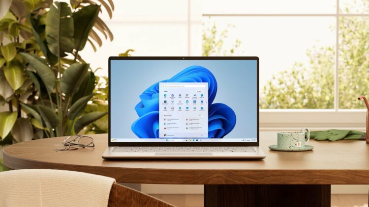Windows 11 n’a jamais eu autant d’utilisateurs, mais on est encore loin du compte
