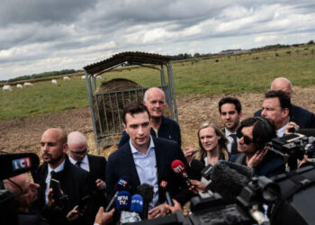 Législatives 2024 : en cas de victoire du RN, les « mesures d’urgence » promises par Jordan Bardella seraient délicates à mettre en œuvre