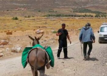 VIDEO. Guerre entre Israël et le Hamas : en Cisjordanie, la colonisation à marche forcée pour les Palestiniens