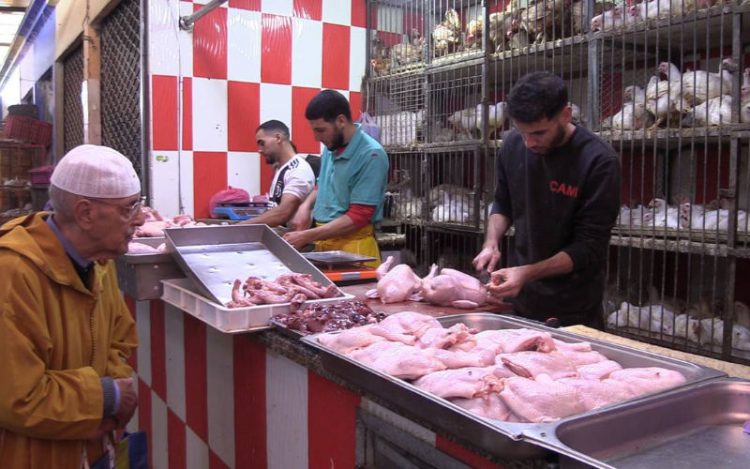 Au Maroc, la menace d’une hausse des prix du poulet plane