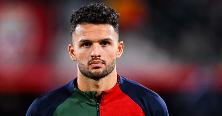 Gonçalo Ramos blessé par un agent de sécurité Gonçalo Ramos blessé par un agent de sécurité