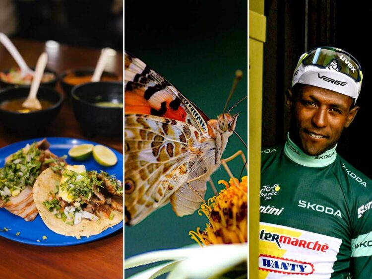 Un Erythréen vainqueur sur le Tour, des applis innovantes, un papillon champion… 10 articles qui nous ont réconfortés cette semaine Un Erythréen vainqueur sur le Tour, des applis innovantes, un papillon champion… 10 articles qui nous ont réconfortés cette semaine