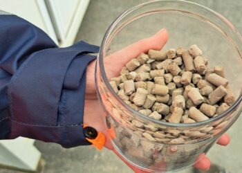 De la poubelle à la pierre précieuse : la transformation qui fait fureur en France et en Europe