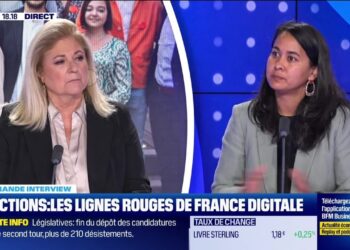 Maya Noël (France Digitale) : La «start-up nation» enterrée ?