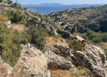 Défis de Marseille face aux décharges illégales : découverte du cimetière de voitures caché dans les collines de la Nerthe