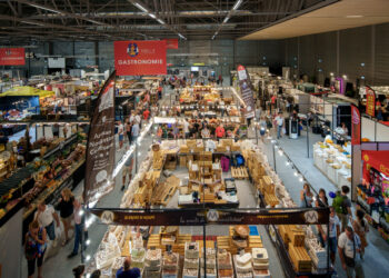 Découvrez tout sur l’édition 2024 : ce qu’il faut absolument savoir