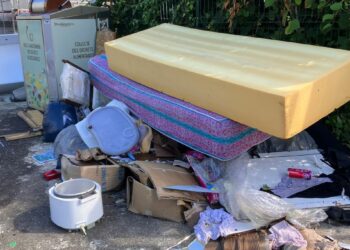 La ville de Strasbourg envisage d’installer des caméras pour lutter contre les déchets sauvages – une solution efficace ? La ville de Strasbourg envisage d’installer des caméras pour lutter contre les déchets sauvages – une solution efficace ?