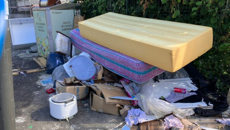 La ville de Strasbourg envisage d&rsquo;installer des caméras pour lutter contre les déchets sauvages – une solution efficace ?