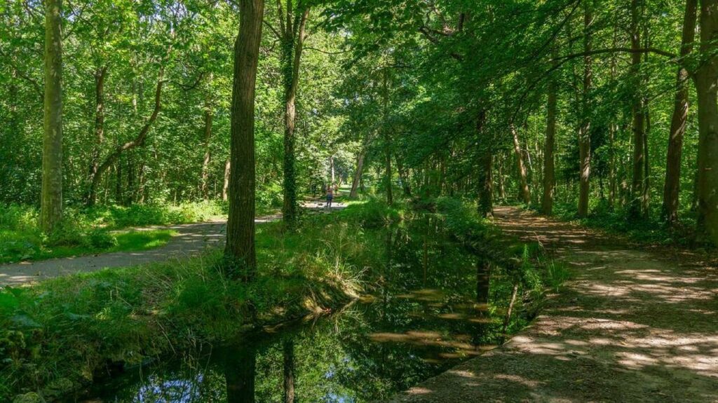 Le mystère du corps enterré au bois de Boulogne à Paris: il s’agit bien de celui d’une étudiante