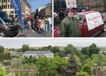 Pairi Daiza, braderie, Franck Furnari… Les événements incontournables de la semaine à Lille et ses environs