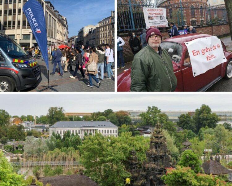 Pairi Daiza, braderie, Franck Furnari… Les événements incontournables de la semaine à Lille et ses environs