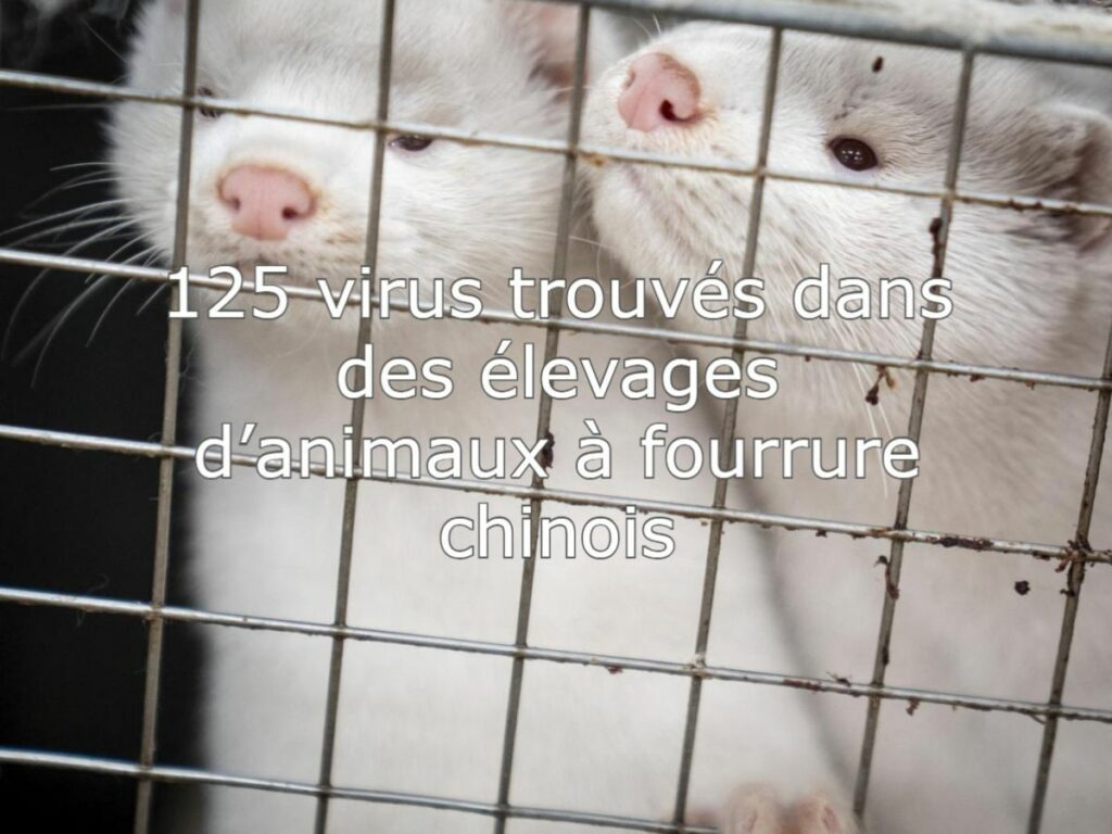Virus, Nina et capsule Starliner : les dernières nouveautés scientifiques en ultra-rapides