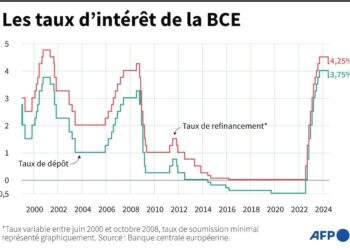 L’incertitude politique et les taux élevés mettent en péril la croissance malgré les JO – L’Express