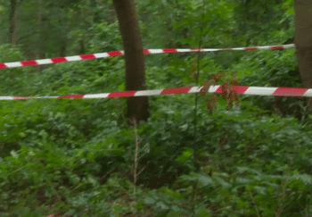 Le corps d’une étudiante découvert dans le bois de Boulogne: une affaire qui fait frissonner