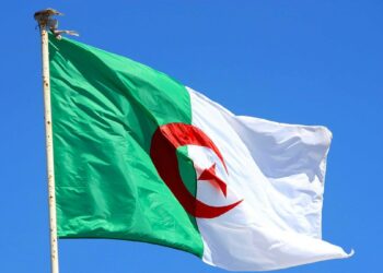 Voici un titre plus accrocheur en français : « Les 4 incontournables à ne pas manquer ce samedi 14 décembre !