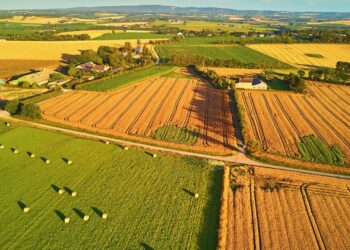 En France, les sols contaminés par des microplastiques : une réalité inquiétante !
