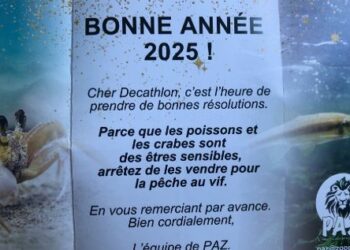 L’association animaliste PAZ adresse ses voeux 2025 au Decathlon de Montpellier : « Dites non à la vente de crabes vivants ! L’association animaliste PAZ adresse ses voeux 2025 au Decathlon de Montpellier : « Dites non à la vente de crabes vivants !