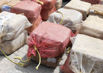 France : Plus de deux tonnes de cocaïne interceptées au port du Havre !