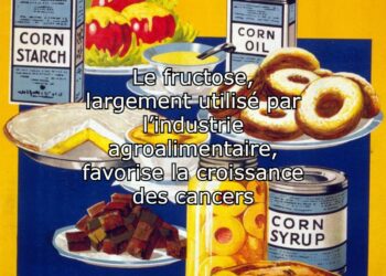 Fructose, cancers, et QI des Romains : découvrez les révélations fascinantes de l’actualité scientifique ! Fructose, cancers, et QI des Romains : découvrez les révélations fascinantes de l’actualité scientifique !