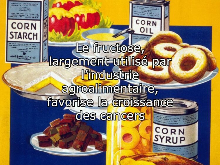 Fructose, cancers, et QI des Romains : découvrez les révélations fascinantes de l’actualité scientifique !