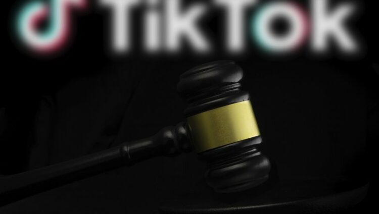 Nique ta mère toi et ta France » : Une influence franco-algérienne bientôt au tribunal ! Révélations sur l’audience du 18 mars