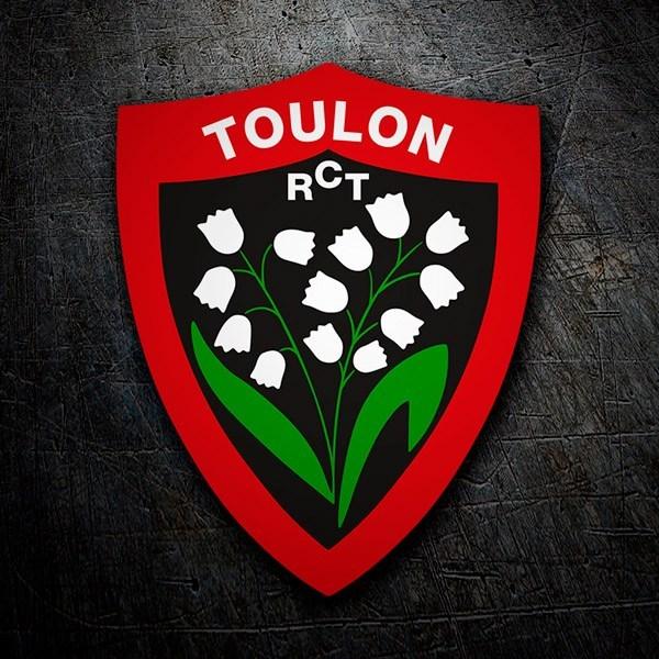 La montée en puissance de Toulon sur la scène du rugby