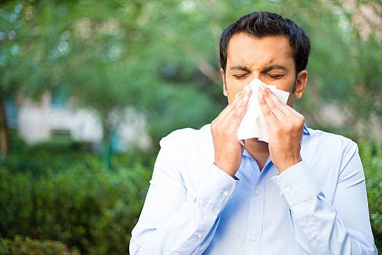 Traitements et ​solutions : ce ‌qu'il⁤ faut savoir pour mieux ⁤gérer ‌son ‌allergies