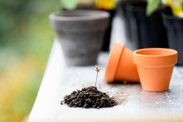 Jardinage ‍printanier ⁣:‌ préparer son extérieur à larrivée du soleil