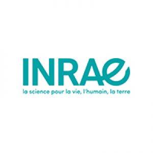 Les initiatives novatrices de l'INRAE pour promouvoir la recherche interdisciplinaire