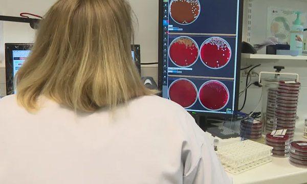 Damoclès diagnostics : une technologie de pointe pour détecter l'antibiorésistance