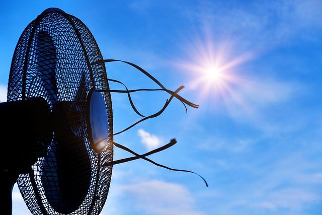 Perspectives et Recommandations pour les Fans et Supporters