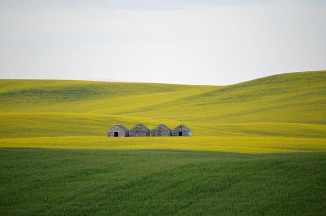 les terres agricoles et leur rôle crucial dans la sécurité alimentaire