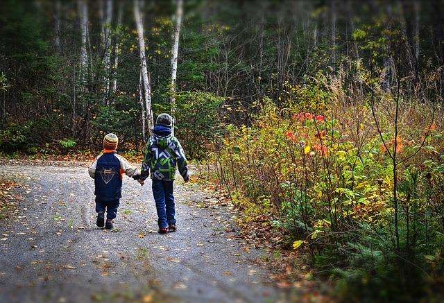 Promenades bucoliques : découvrir la nature en Île-de-France