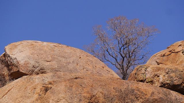 Les enseignements à tirer de Les Survivantes