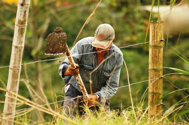 Unis pour ​la cause : comment soutenir les agriculteurs locaux