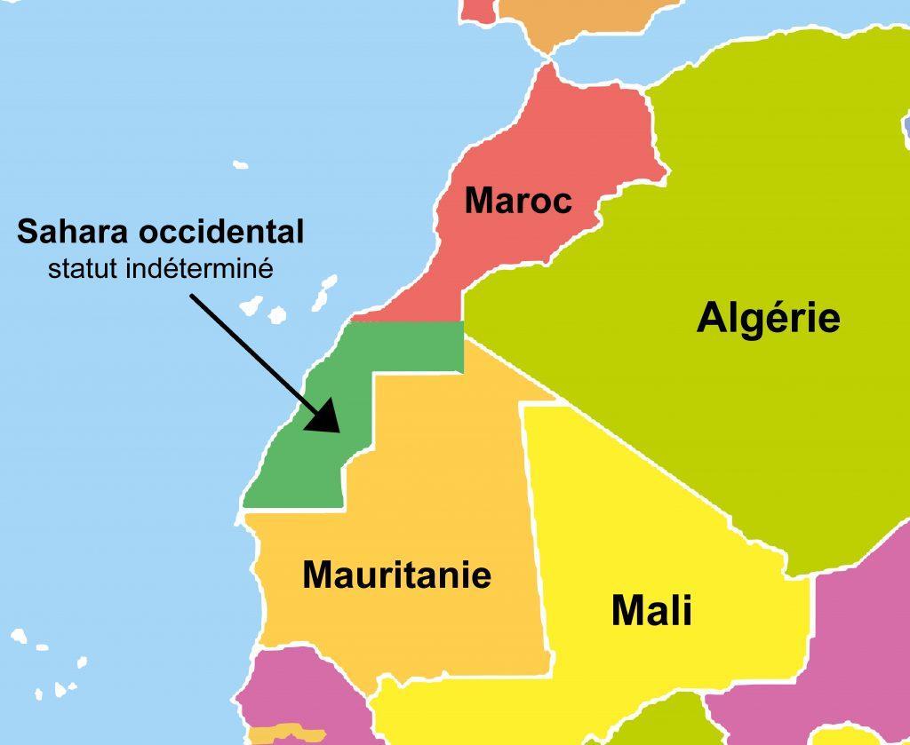 Engagement pour la paix : propositions pour une coopération durable dans le Sahara occidental