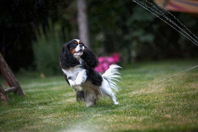 Rencontre avec les cavaliers : défis et témoignages lors de la traversée