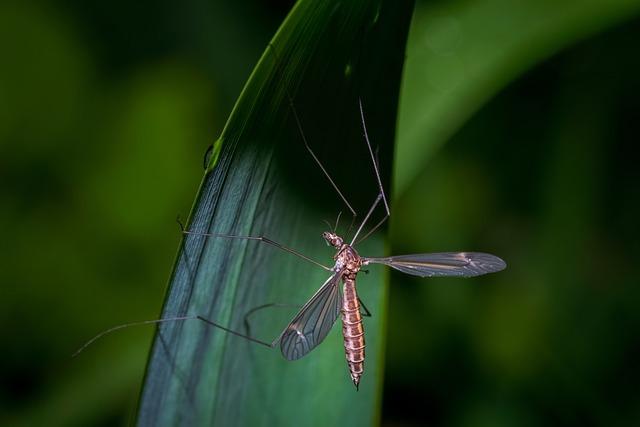 Analyse des éléments qui rendent Longlegs si effrayant