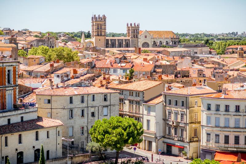 Montpellier : Une Ville où le Véganisme Prend Racine