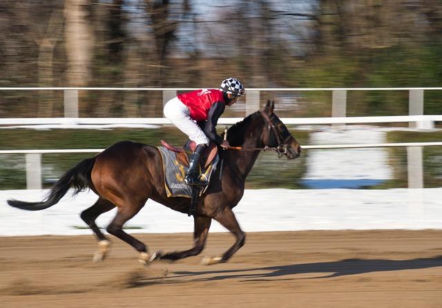 Focus sur les jockeys : impact sur les résultats