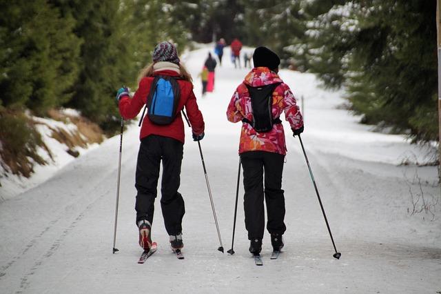 Cross-country.‍ Les Mayennais en force à ‍Challans pour les championnats de France . ​Sport - Lille