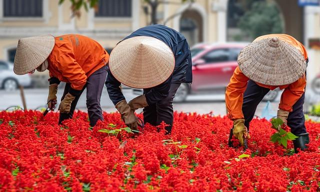 Ateliers et animations pour les passionnés de jardinage