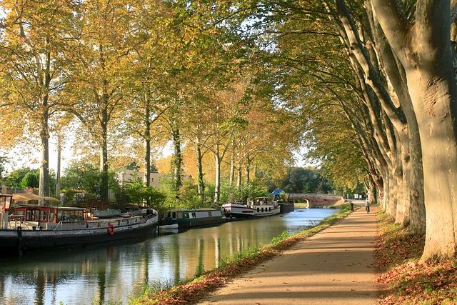 Balades en plein air : redécouvrir toulouse sous un nouvel angle