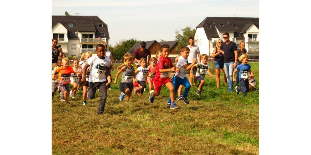 Conseils pour les jeunes coureurs inspirés par l'exemple de van der Poel