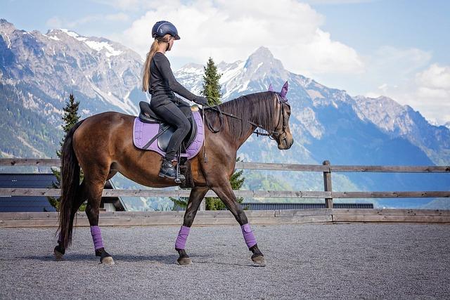 À ⁣la‌ découverte des valeurs de l'équitation équestre à Bozouls