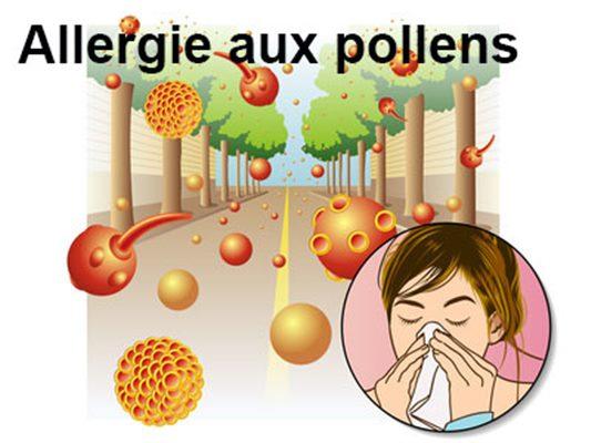 Mythes et réalités sur‍ les ⁤allergies aux pollens en ⁤France