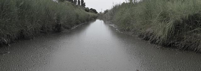 la grisaille va-t-elle se poursuivre mardi à Toulouse et en Occitanie? Les prévisions de Météo France - Le Journal du Pays Yonnais